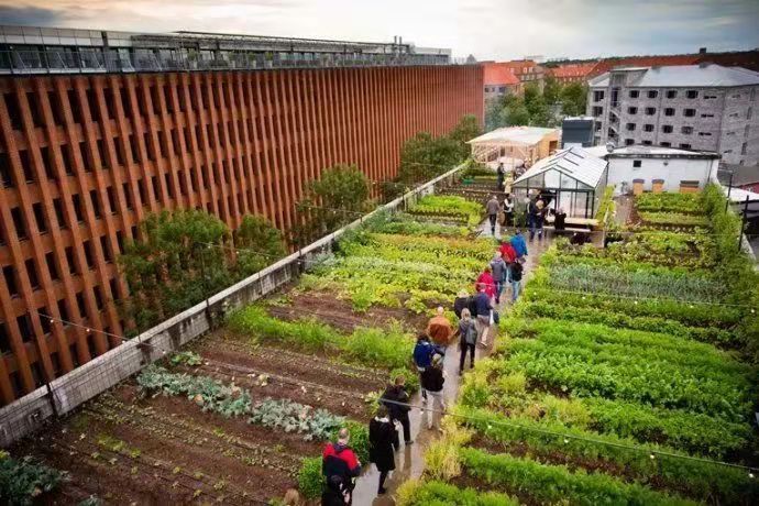 成都生態(tài)餐廳設計